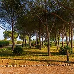 Casa Dante Orbetello
